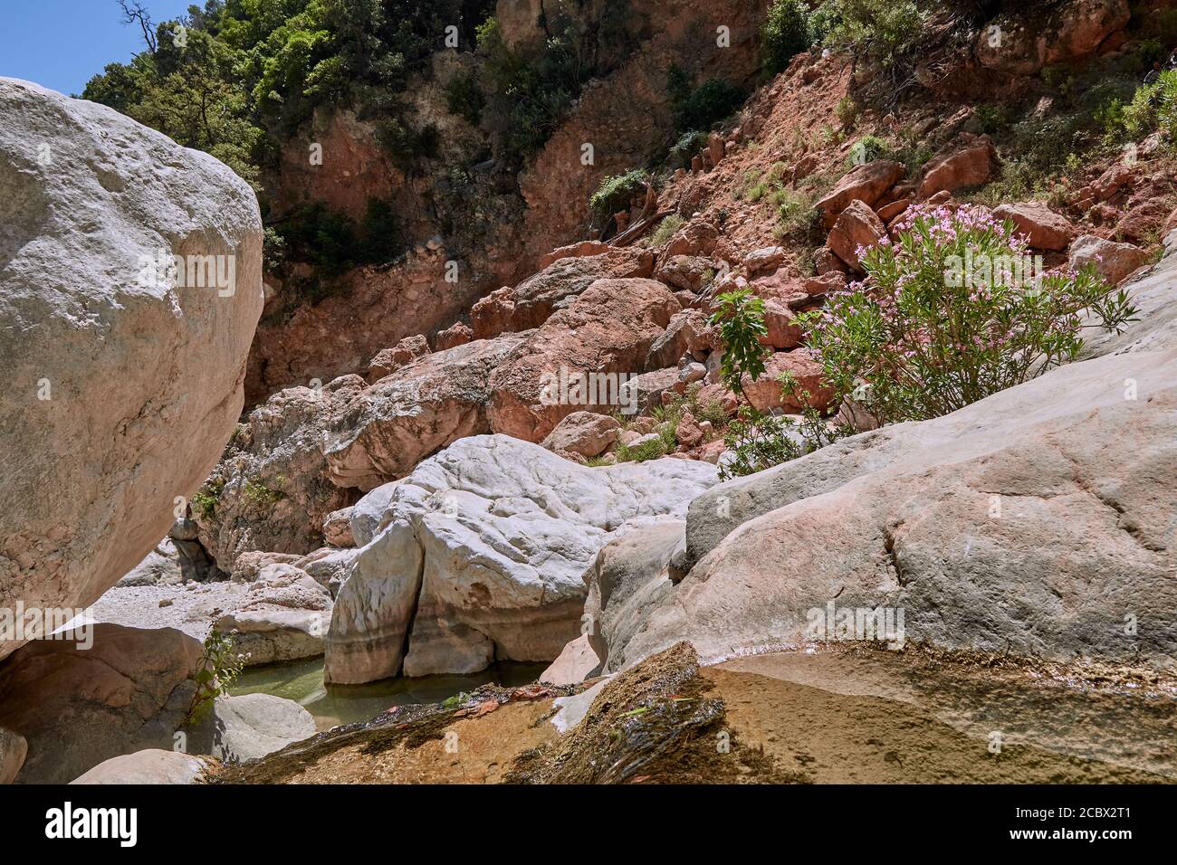 Gorropu Canyon dans l'île de Sardaigne Banque D'Images Gorropu Canyon dans l'île de Sardaigne Banque D'Images