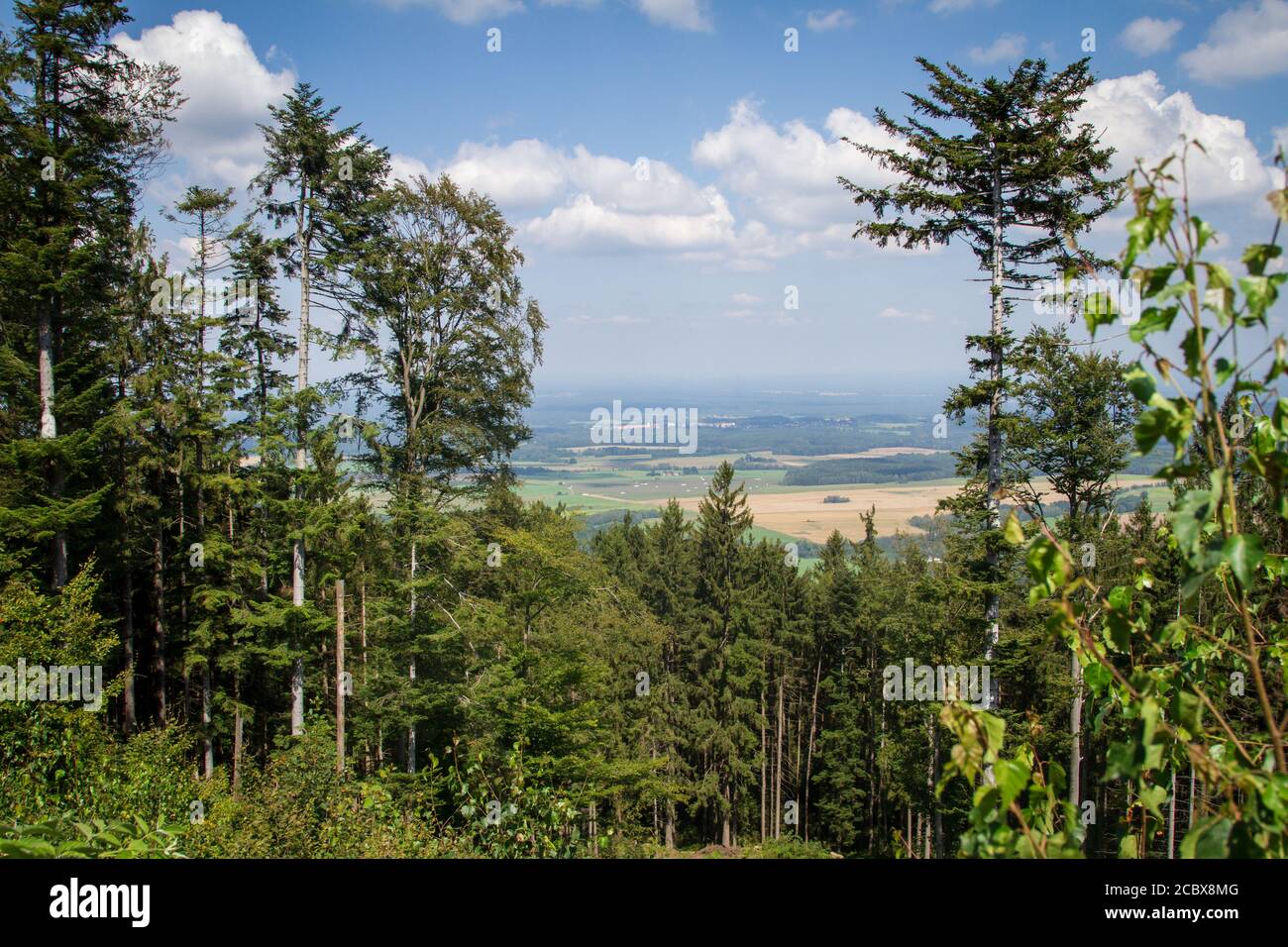 Forêt en Bohême du Sud, randonnée près de Hojna Voda à la montagne Vysoka, République Tchèque Banque D'Images