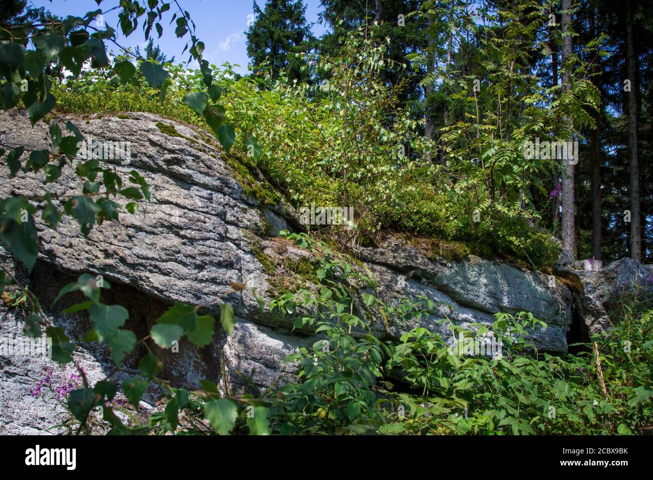 Formations de pierres en Bohême du Sud, randonnée près de Hojna Voda à la montagne Vysoka, République Tchèque Banque D'Images