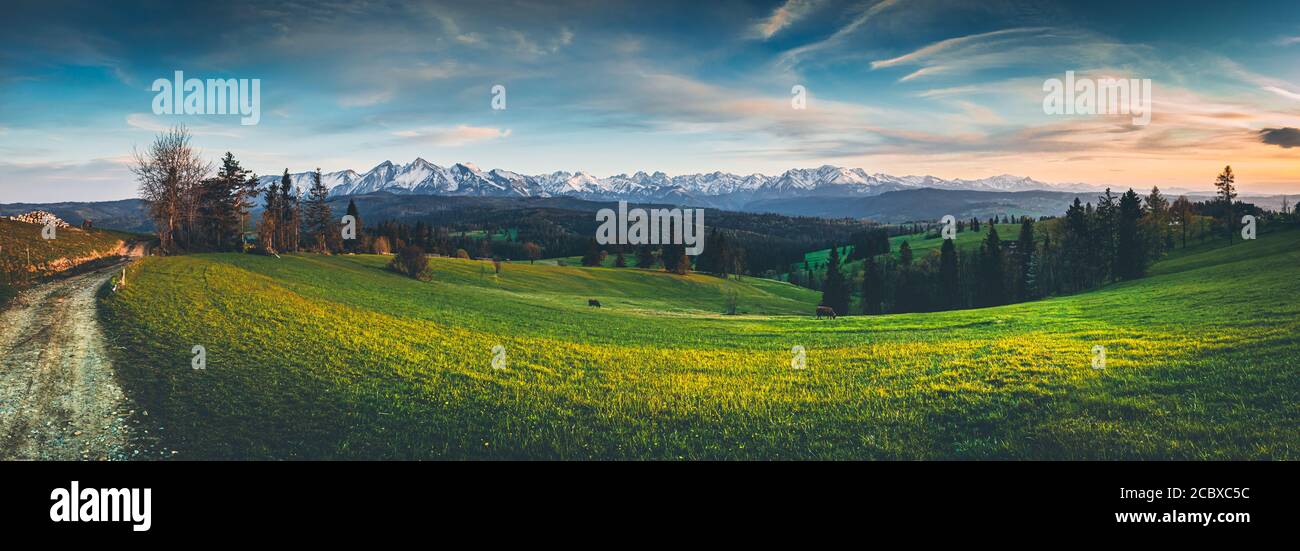 Montagnes Tatras, Pologne Banque D'Images