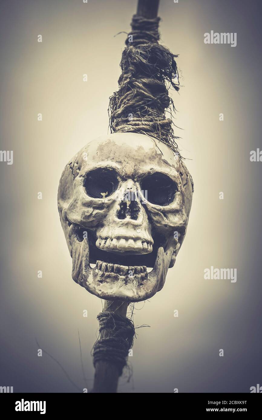 Gros plan sur un crâne humain terrifiant et effrayant isolé à l'extérieur, attaché à un poteau. Concept horreur, terreur, peur, mort, sacrifice, Halloween. Banque D'Images