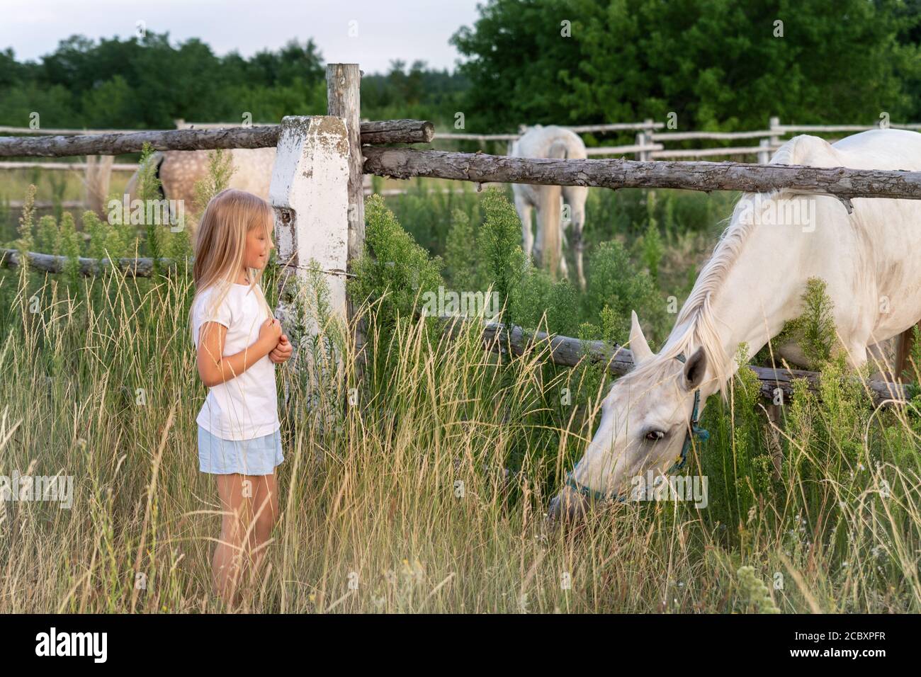 site de rencontres cheval