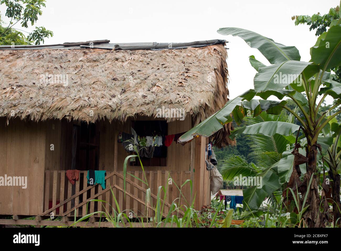 Maison traditionnelle en chaume dans le village indigène Bribri de Suretka, province de Limón, Costa Rica. Banque D'Images