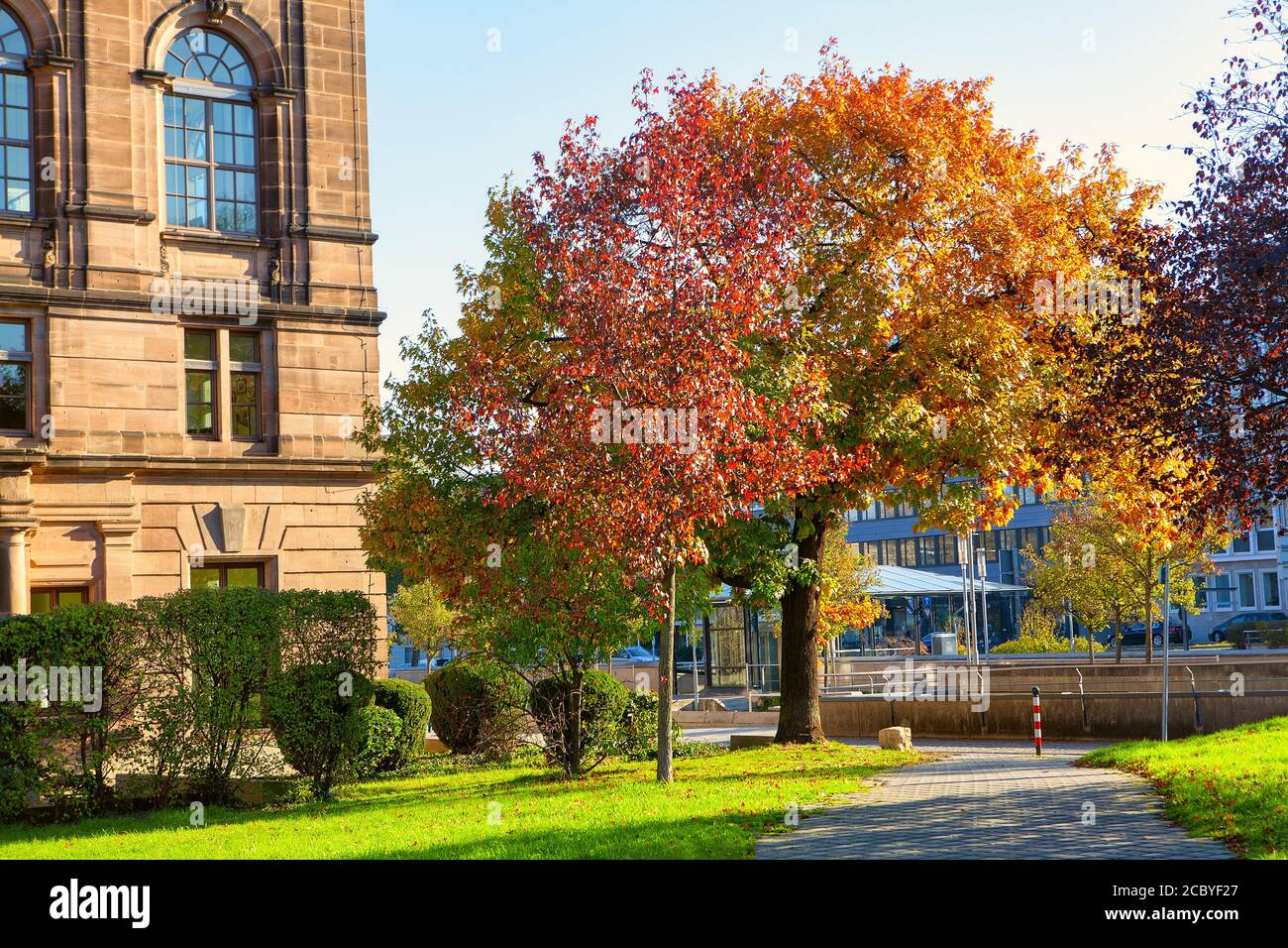 Automne multicolore dans la ville . Chemin dans le parc urbain Banque D'Images