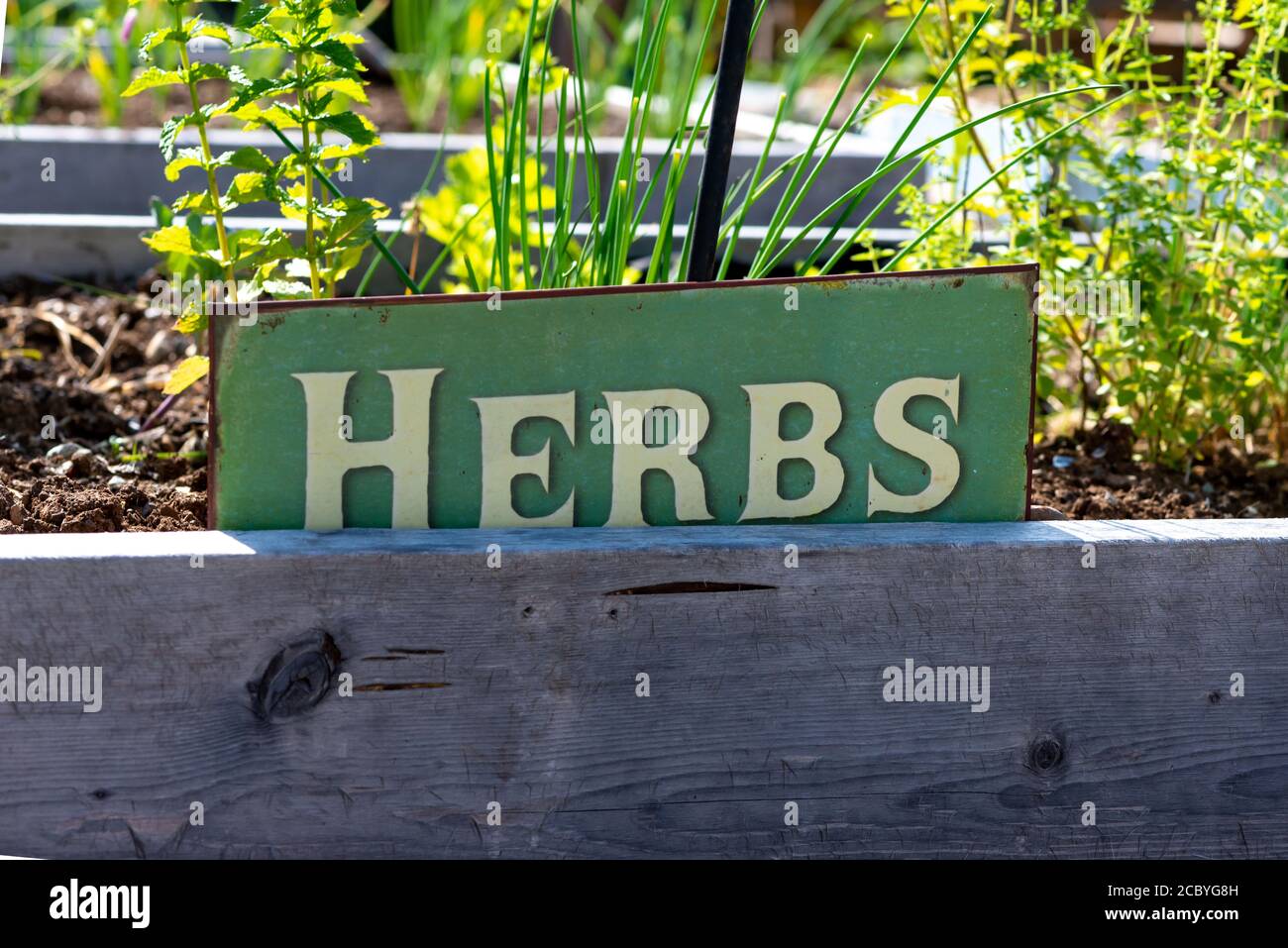 Un jardin d'herbes fait de caisses en bois ou de lits surélevés. Il y a un petit signe avec un fond vert et des lettres crème des herbes orthographiques. T Banque D'Images