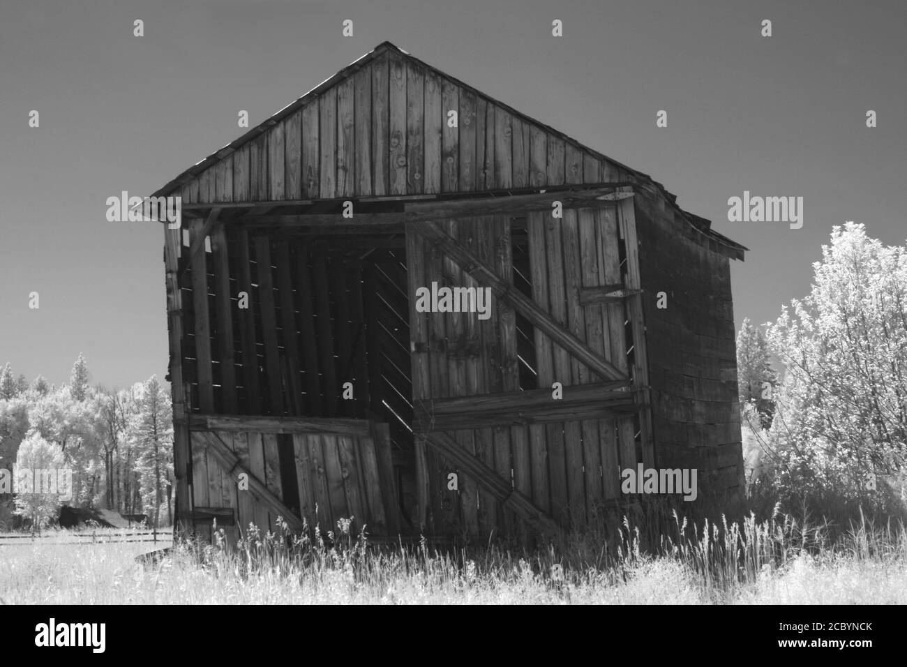 Image infrarouge monochrome d'une ancienne grange en bois dans un champ ouvert dans l'ouest de Washington, États-Unis. Banque D'Images