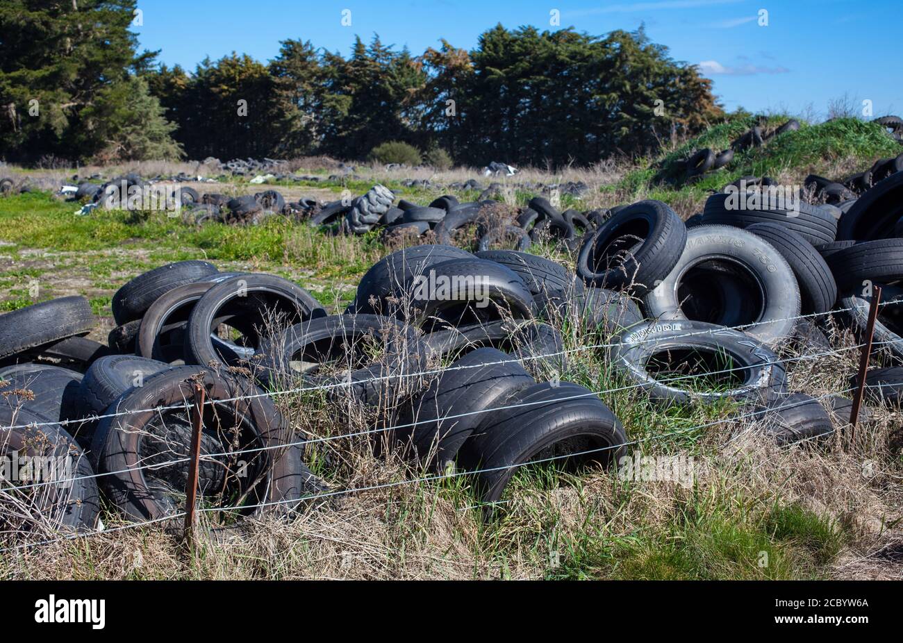 Scènes de campagne en Nouvelle-Zélande: Sileage faire, en utilisant les vieux pneus de voiture et de camion pour maintenir les couvertures en polyéthylène en place. Banque D'Images