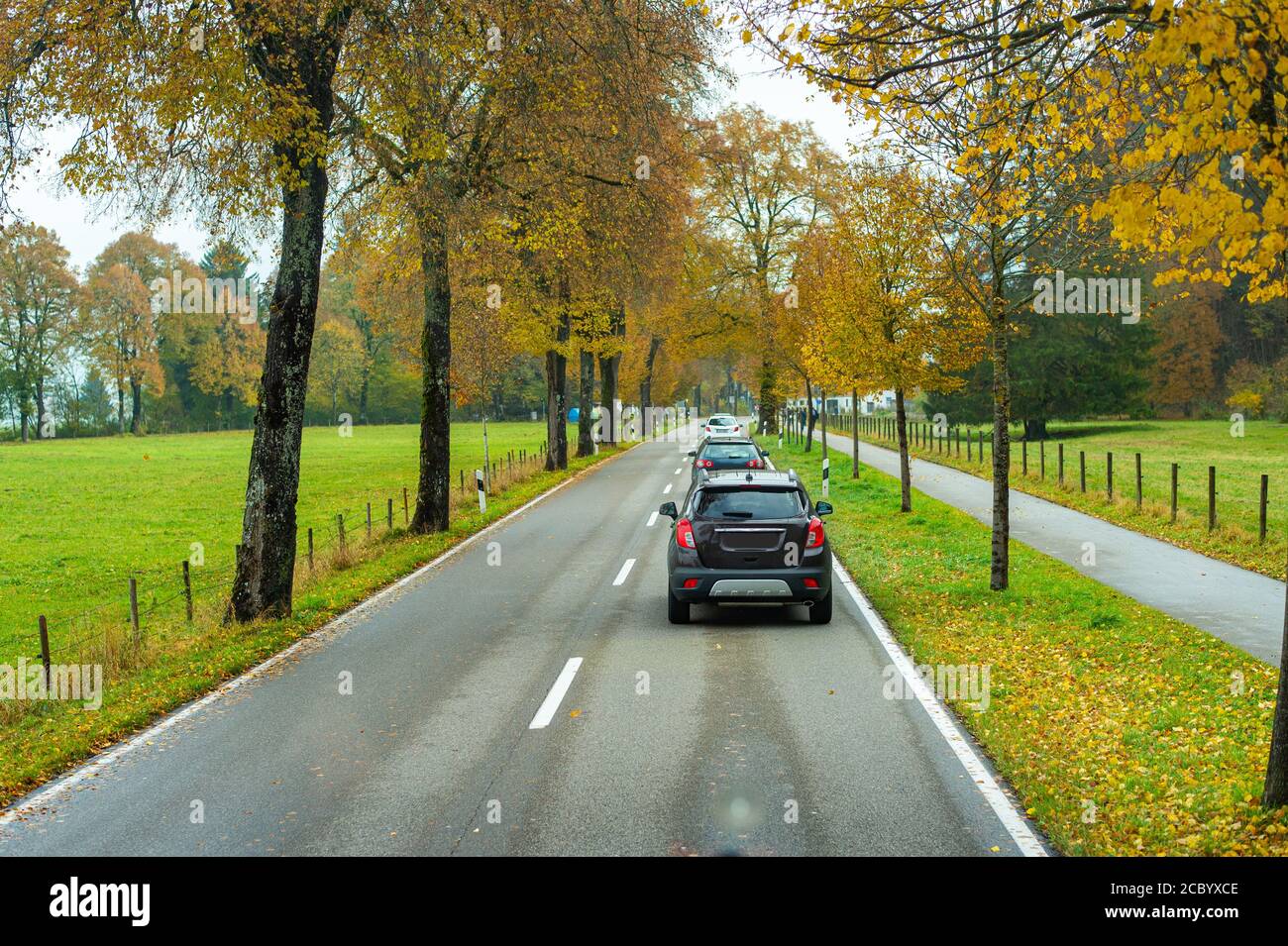 La beauté des voyages pendant la saison d'automne change de couleur en Allemagne. Banque D'Images