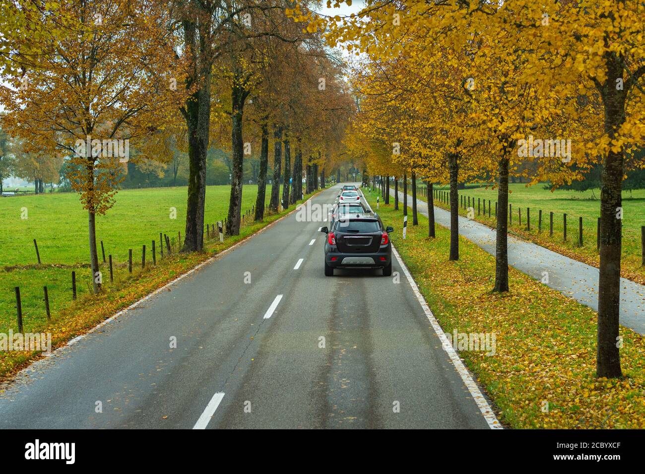 La beauté des voyages pendant la saison d'automne change de couleur en Allemagne. Banque D'Images