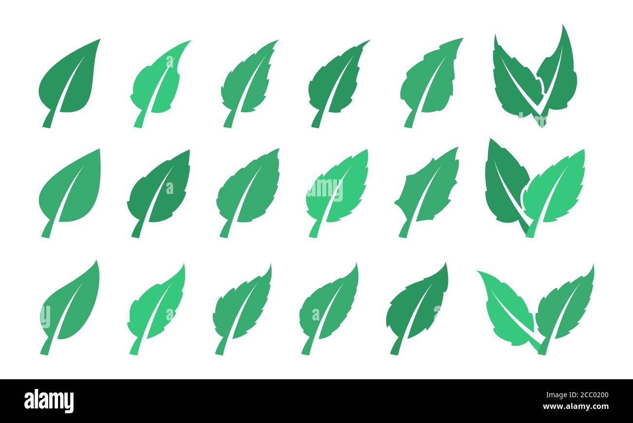 Jeu de feuilles vertes. Eco design Illustration de Vecteur