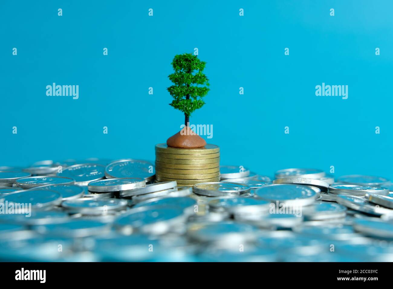 Concept d'affaires miniature - investissement financier, arbre d'argent croissant sur pile de pièces sur fond bleu Banque D'Images