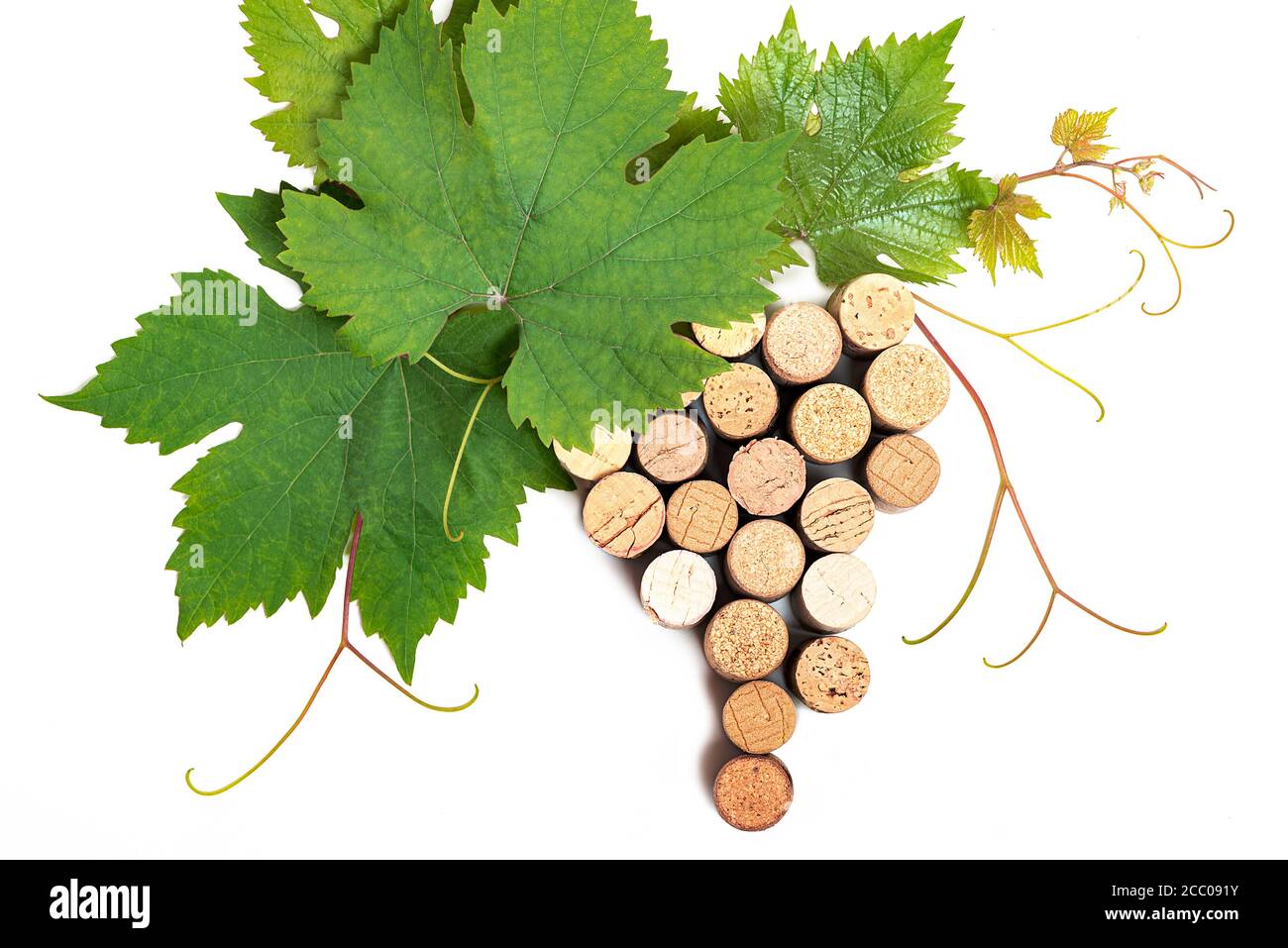 Branche fraîche de baies de raisin sur fond blanc Banque D'Images Branche fraîche de baies de raisin sur fond blanc Banque D'Images