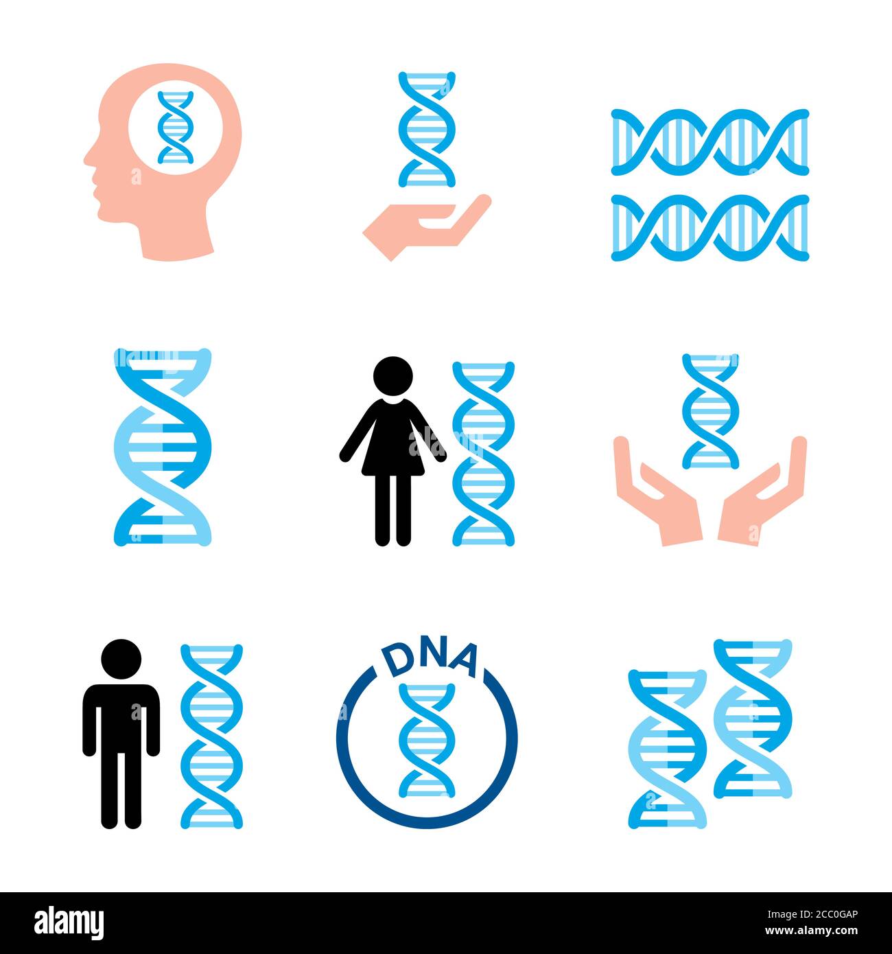 ADN humain, génétique vecteur icônes ensemble - santé et science concept design Illustration de Vecteur