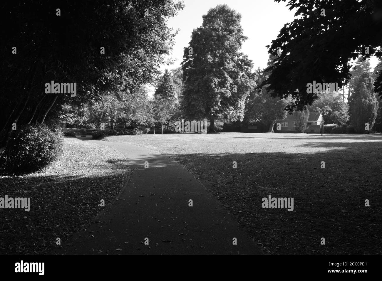 Jardins à Shanklin sur l'île de Wight Banque D'Images