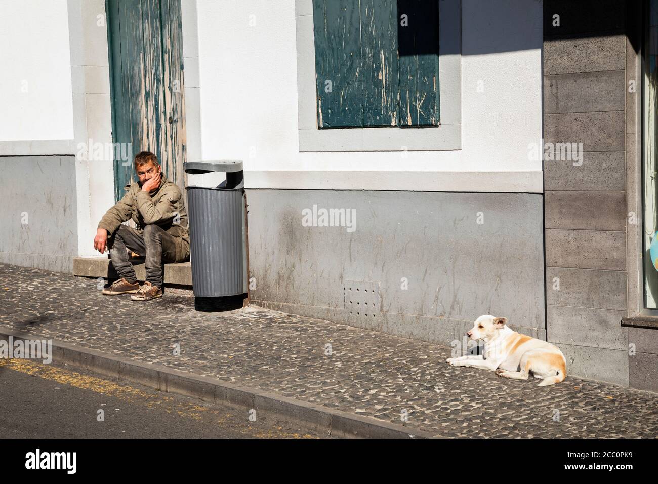 Homme et chien local assis dans la rue, Câmara de Lobos, Funchal, Madère Banque D'Images