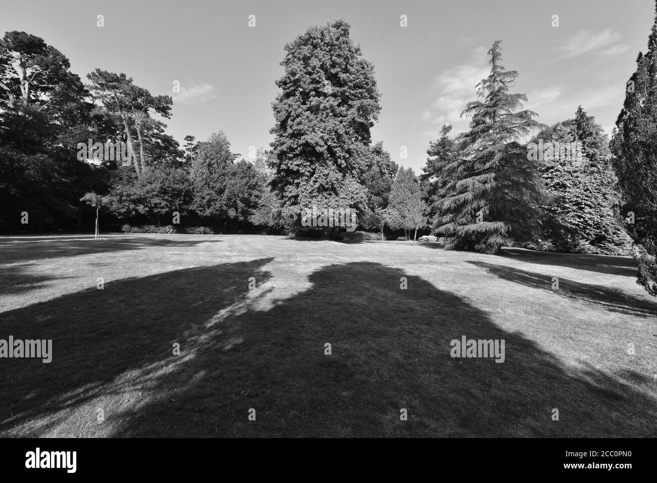 Jardins à Shanklin sur l'île de Wight Banque D'Images