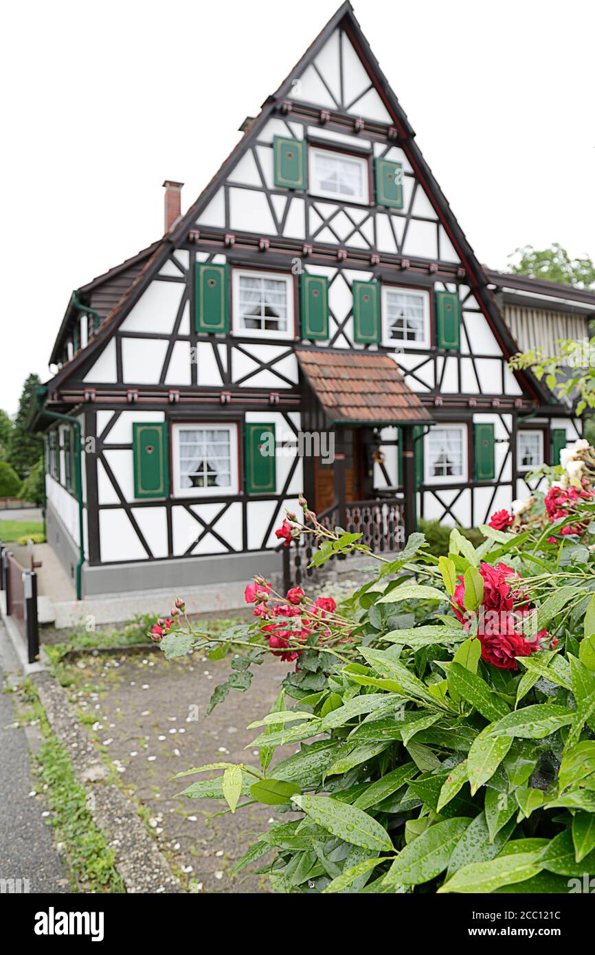 En premier plan, fleurs rouges en fleur, en arrière-plan (hors foyer) une maison traditionnelle à colombages située à Sasbachwalden, Forêt Noire, B Banque D'Images
