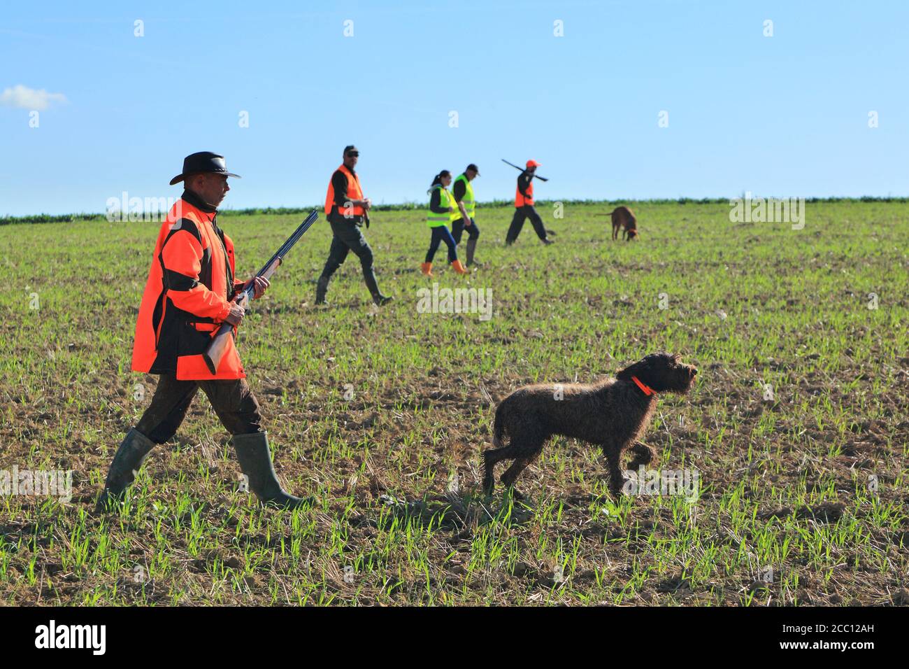 La France, la chasse Banque D'Images