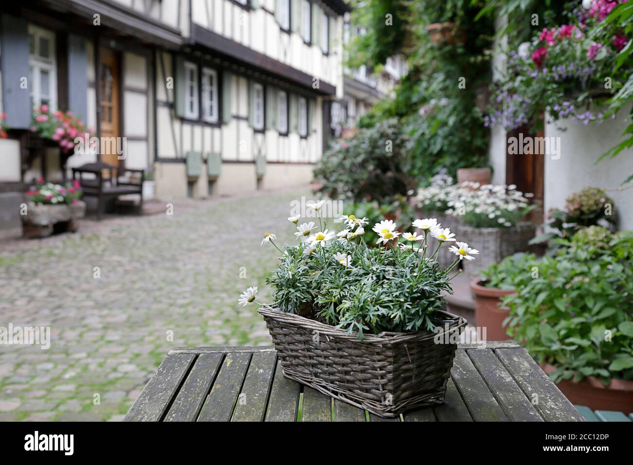En premier plan un panier avec des pâquerettes en arrière-plan (hors foyer) Engelgasse rue historique dans la vieille ville de Gengenbach, Forêt Noire, Bad Banque D'Images