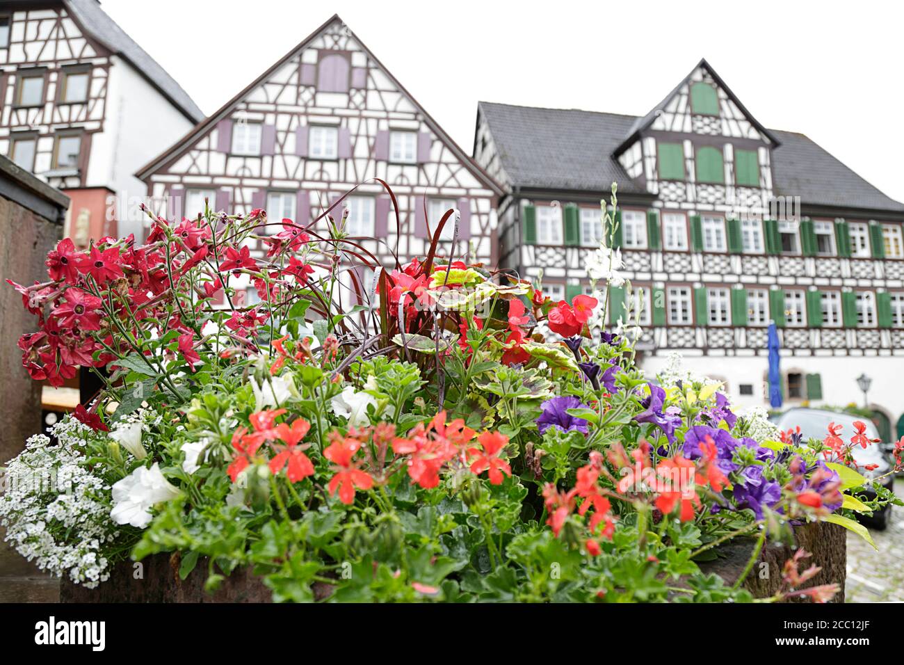 En premier plan geraniums colorés en fleur, en arrière-plan (hors foyer) une maison traditionnelle à colombages située à Schiltach, Forêt Noire Banque D'Images