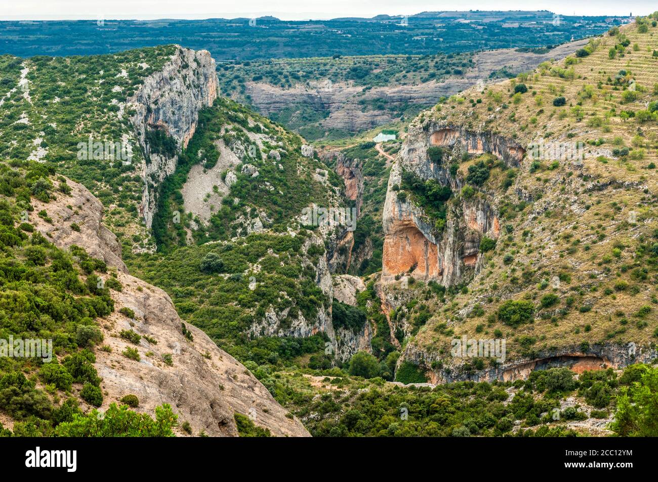 La douleur, communauté autonome d'Aragon, de la Sierra y Cañones de Guara canyon, parc naturel de la rivière Vero (UNESCO World Heritage pour le rock art sites) Banque D'Images