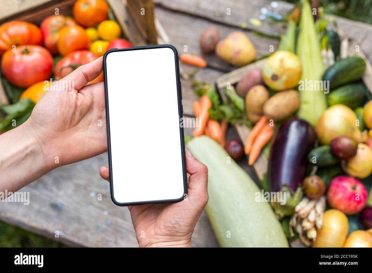 Commande en ligne de fruits et légumes de ferme biologiques. Écran blanc du téléphone portable sur fond de nourriture. Banque D'Images