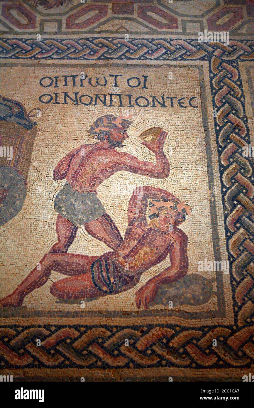 Chypre, Paphos, maison de Dionysos, mosaïques Banque D'Images