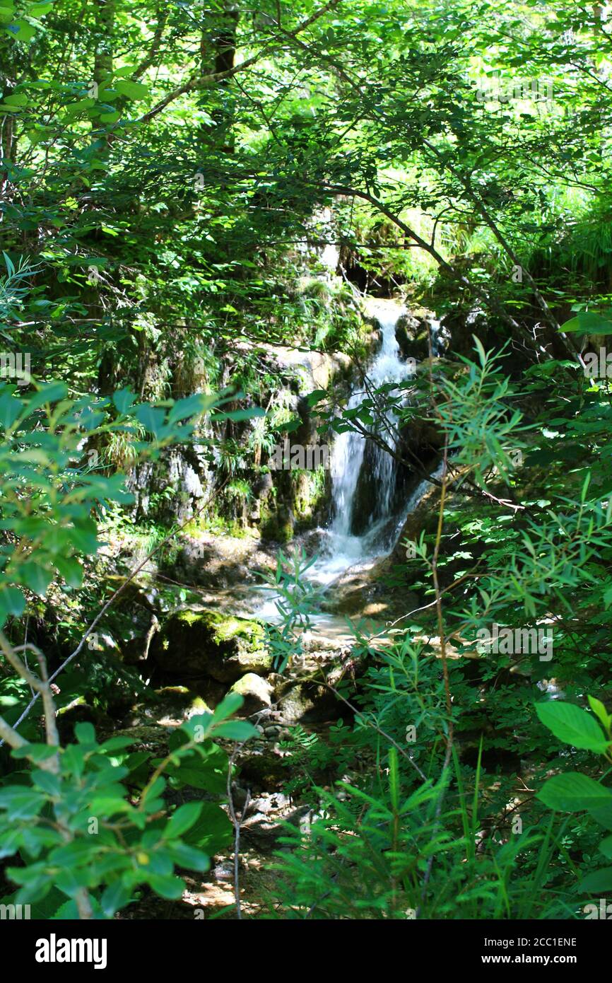 Petite cascade cachée dans le Tyrol, Autriche Banque D'Images