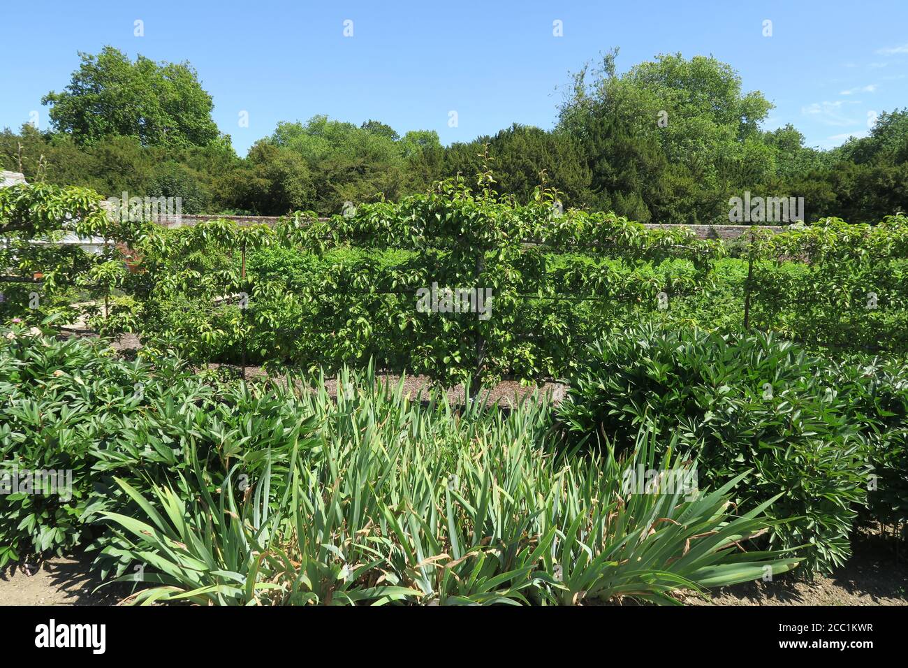 Partie du jardin biologique à Audley End House près Le village de Saffron Walden dans le comté d'Essex Angleterre Banque D'Images