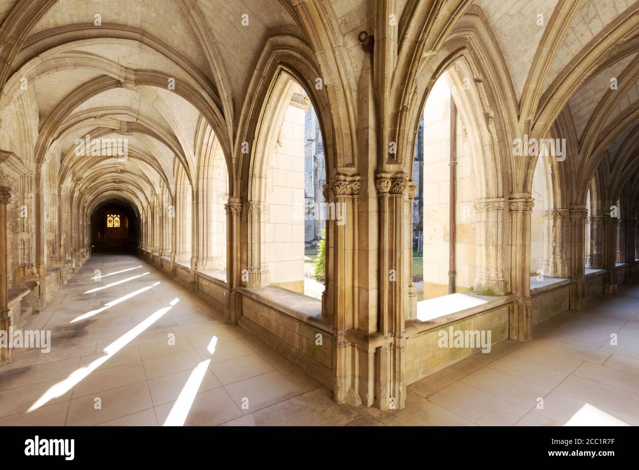 Tours cathédrale cloîtres, alias la Psalette cloîtres, cloître médiévale dans la cathédrale St Gatien, Tours France Banque D'Images