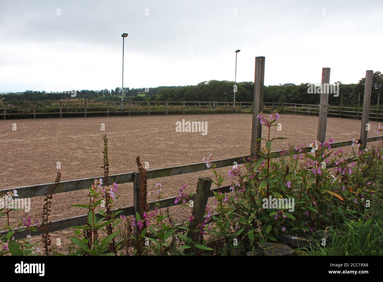 Les écuries de l'école d'équitation s'affichent sur Winter Hill, en Angleterre, avec des fleurs sauvages roses Banque D'Images