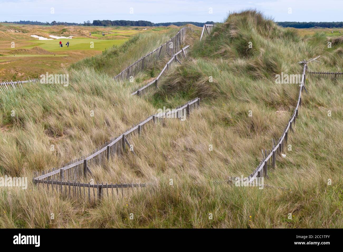 Clôtures en bois le long de la côte de Fife pour protéger les dunes de sable fragiles. Banque D'Images