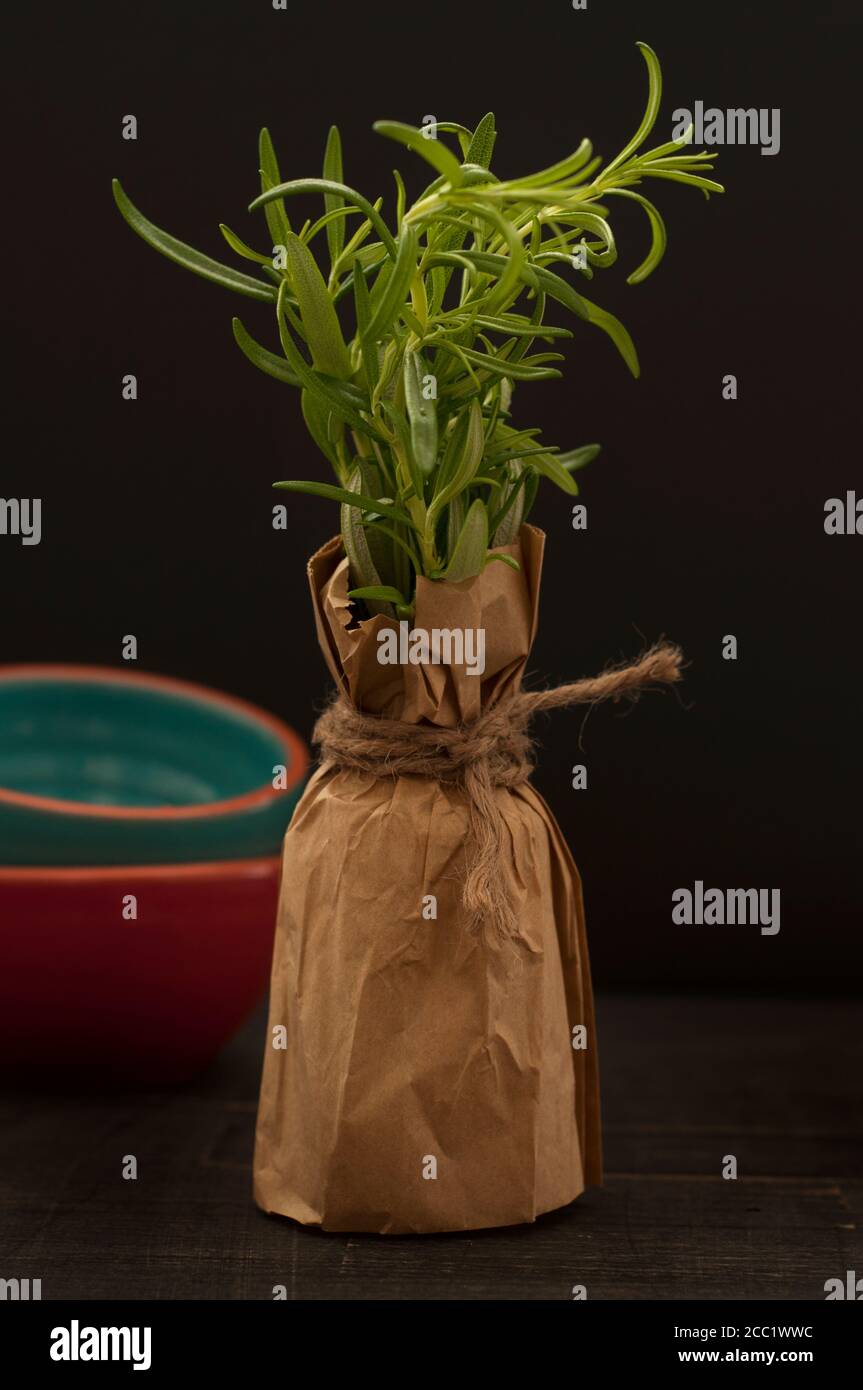 Plante de romarin, Banque D'Images