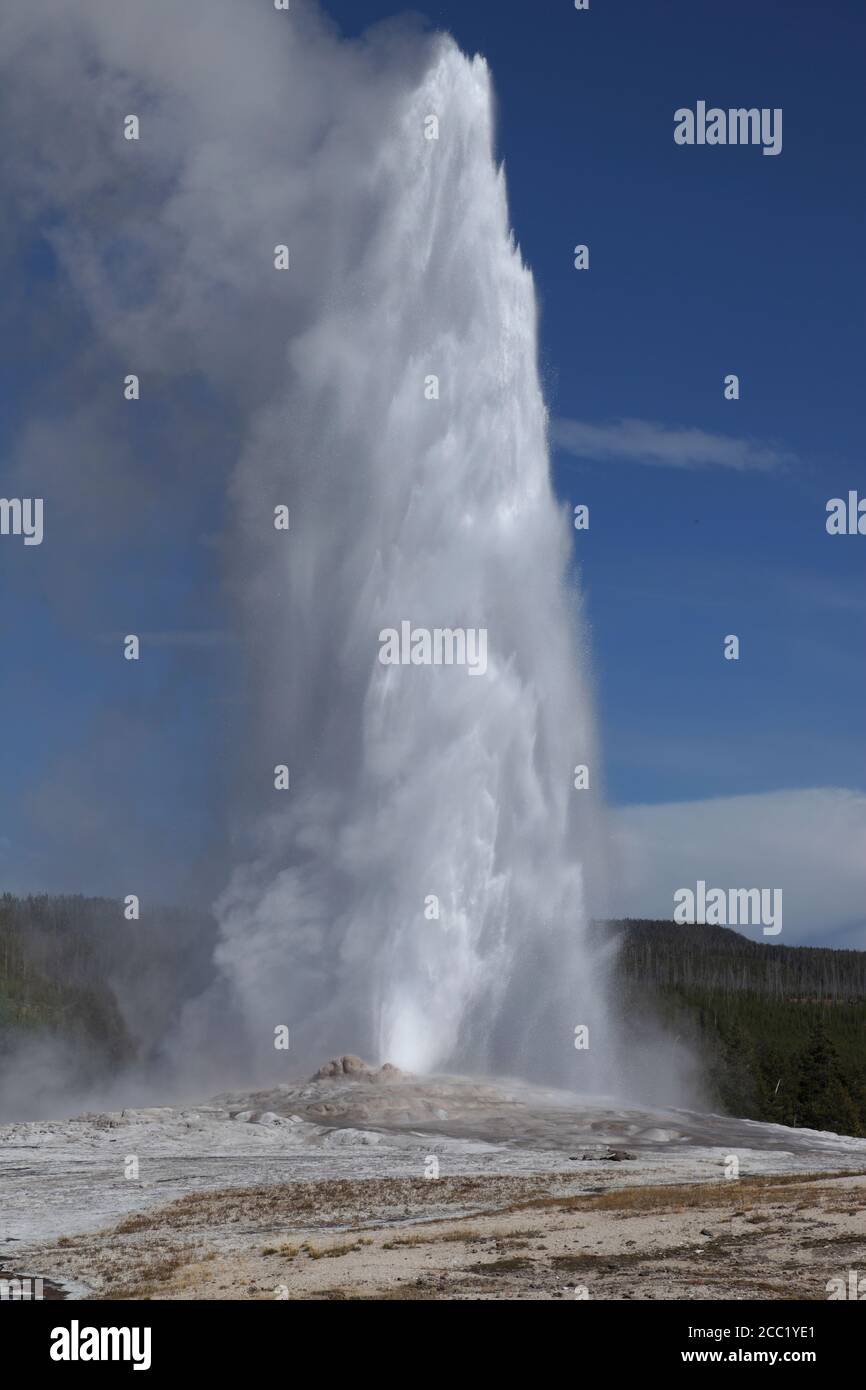 Vue sur Old Faithful Geyser Yellowstone National Park Banque D'Images