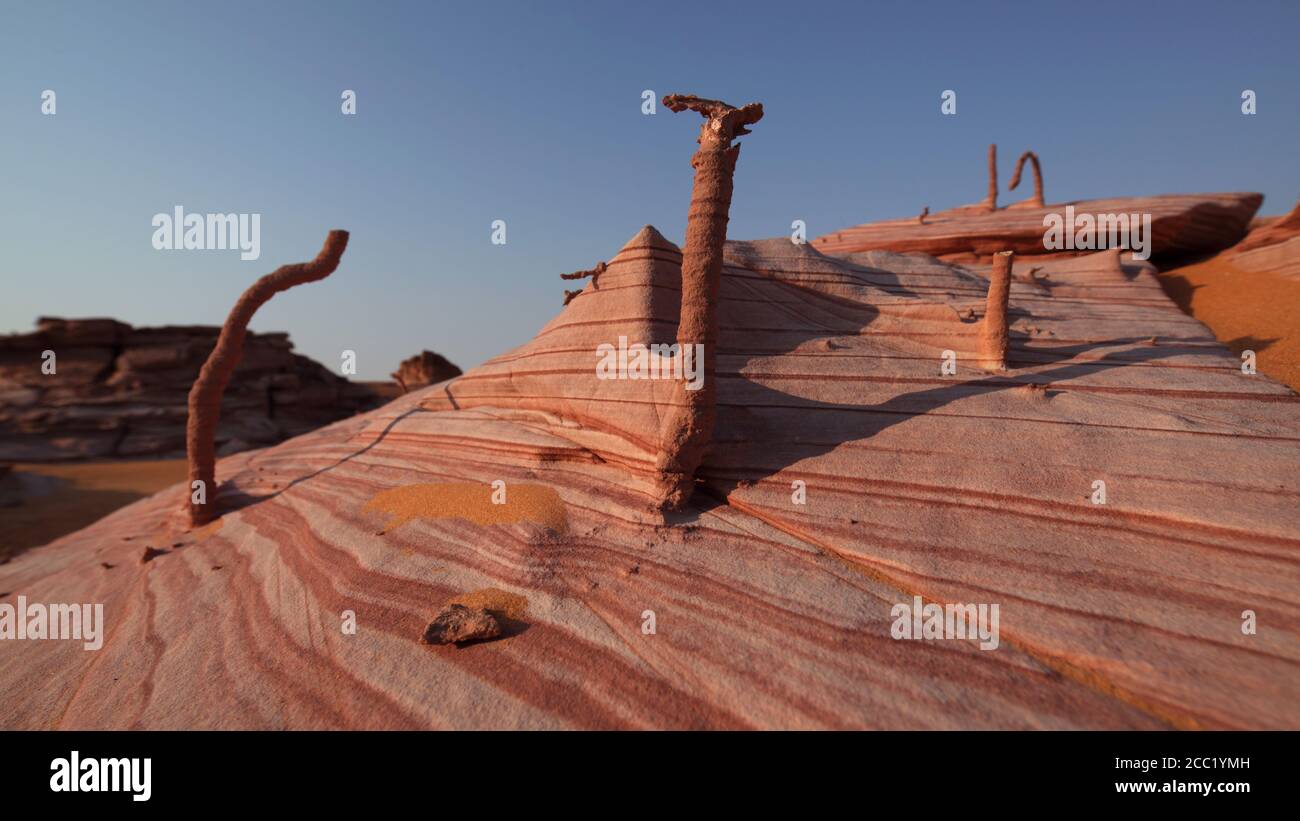 Afrique, Tchad, vue des cheminées de racines des lacs d'Ounianga Banque D'Images