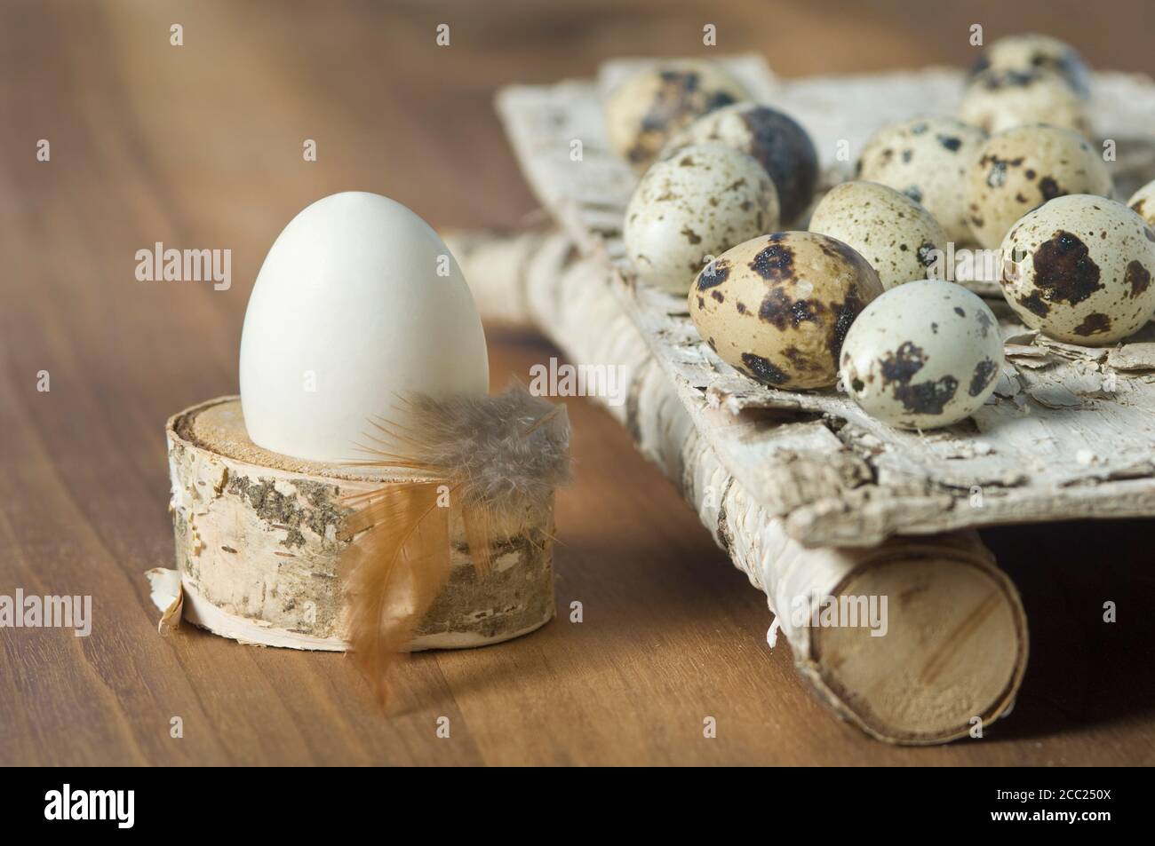 Œuf de Pâques avec des oeufs de cailles sur une écorce de bouleau Banque D'Images