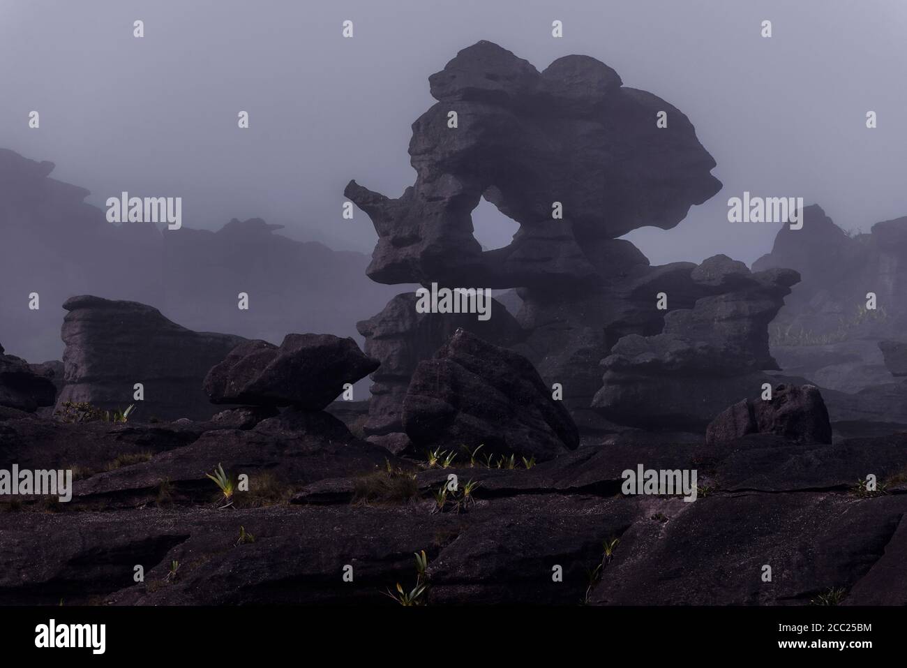 Venezuela, vue de la roche érodée sur le dessus de Roraima Tepui Banque D'Images