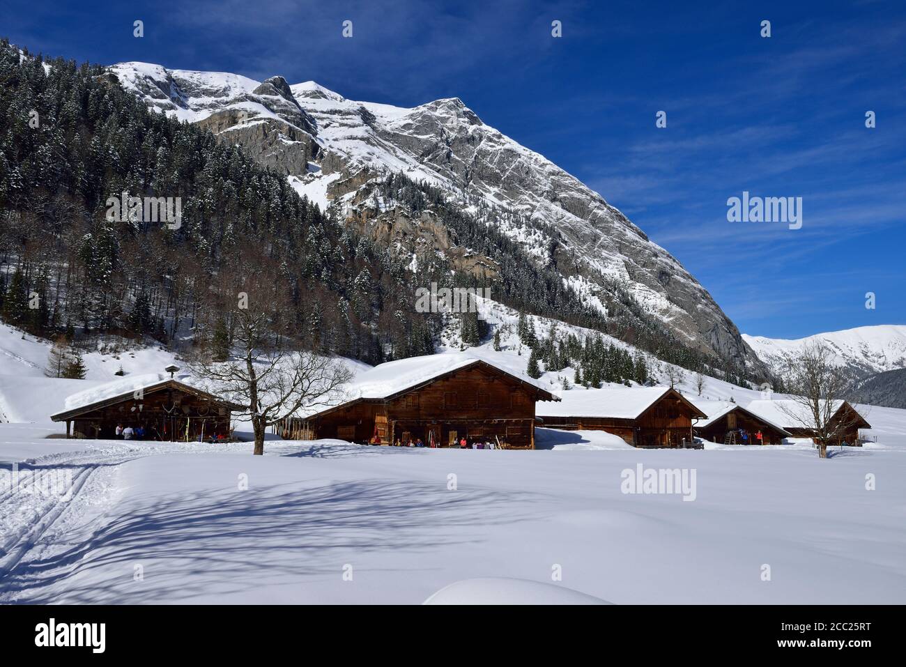 Autriche, Tyrol, vue de Fra Alm avec Gamsjoch Banque D'Images