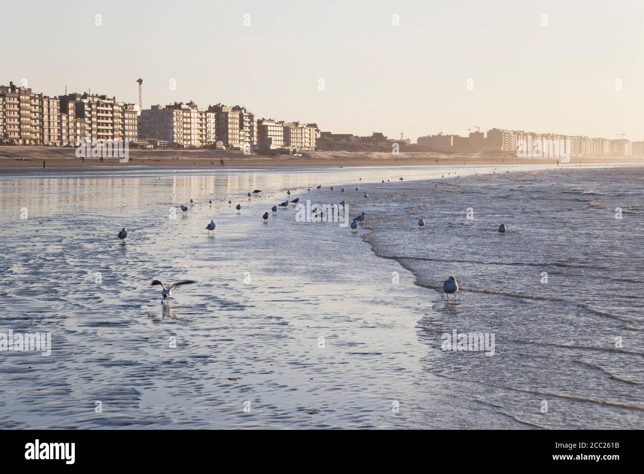Belgique, Flandre, vue d'oiseaux sur la côte Banque D'Images