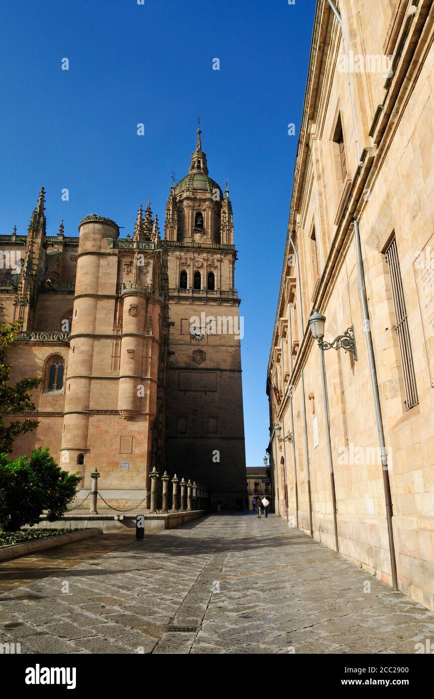L'Europe, Espagne, Castille et Léon, Salamanque, vue sur cathédrale Banque D'Images