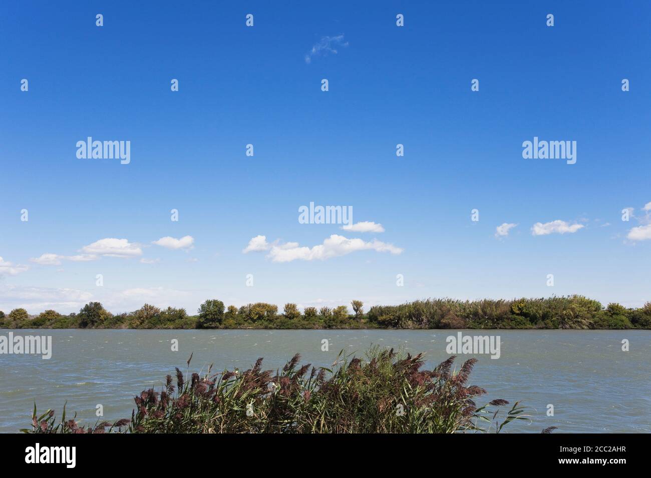 France, Camargue, vue d'Petite-Rhone dans le delta du fleuve du Rhône Banque D'Images