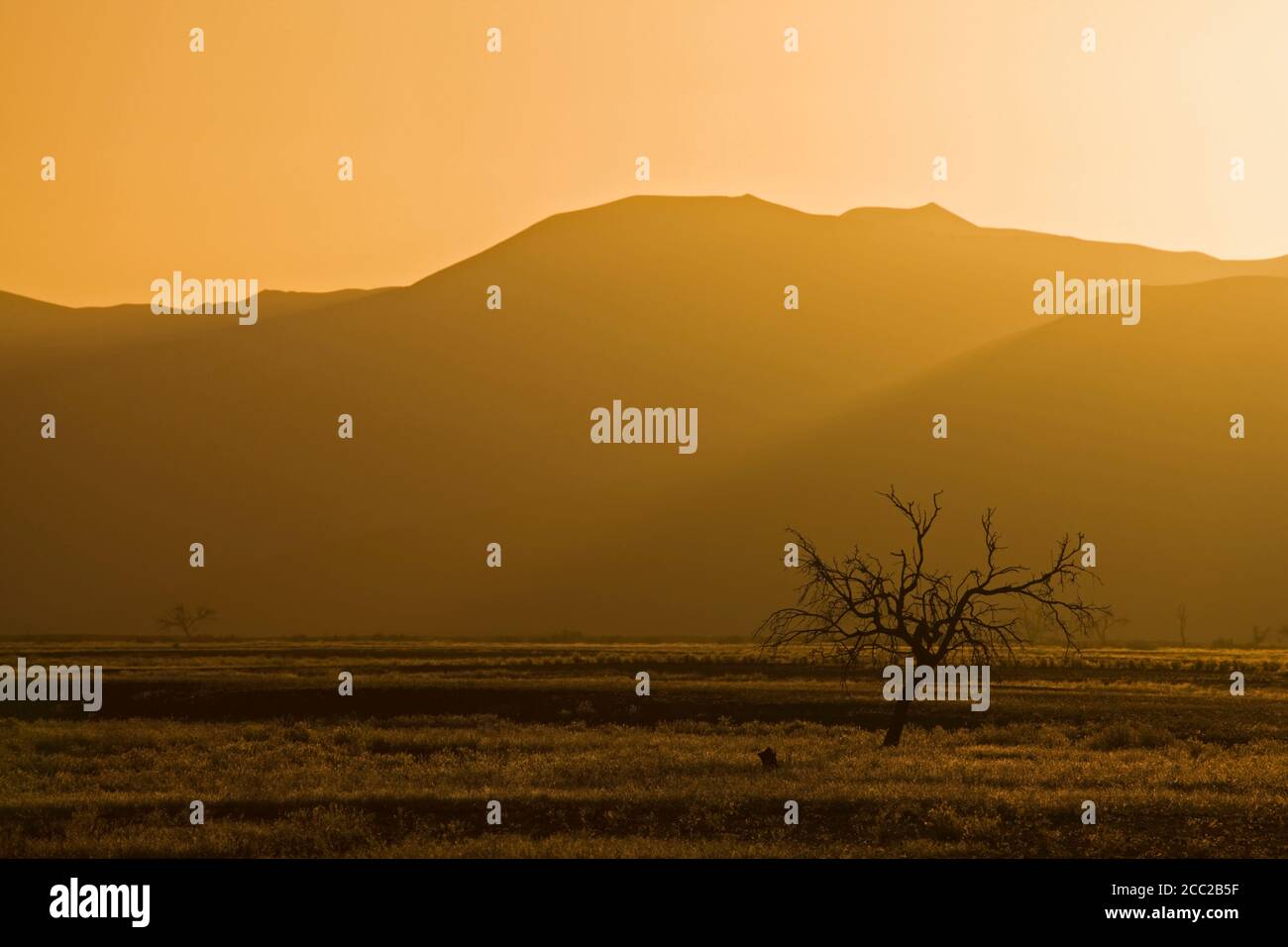 L'Afrique, la Namibie, la rivière Tsauchab, au coucher du soleil Banque D'Images