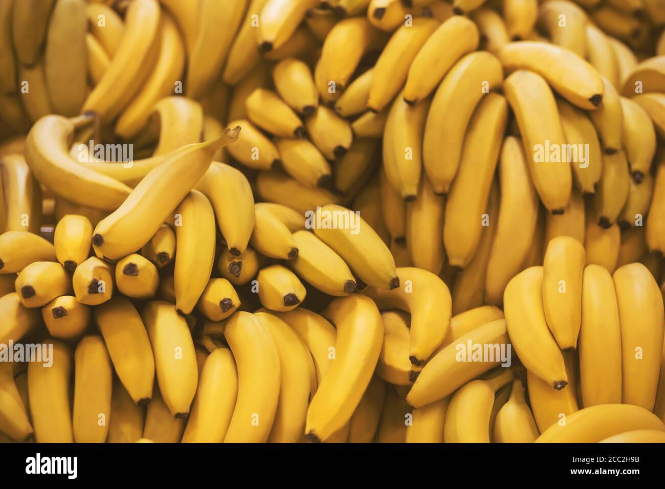 Arrière-plan représentant beaucoup de fruits mûrs jaune délicieux banane qui sont dans l'épicerie. Récolte riche. Banque D'Images