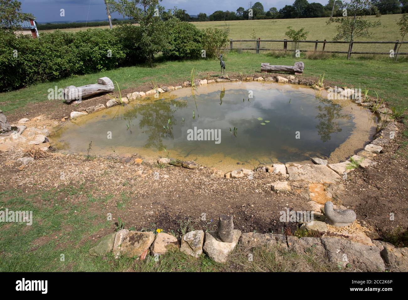 Récemment complété grand étang de jardin avec la première plantation de plantes d'étang et entouré par des pierres de Cotswold, Colemans Hill Farm, Mickleton, Royaume-Uni Banque D'Images