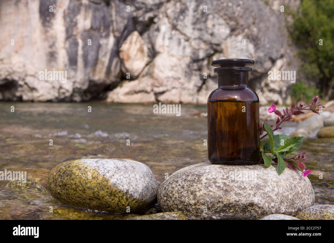 Concept de médecine alternative à base de plantes, huile de cbd, industrie pharmaceutique. Banque D'Images