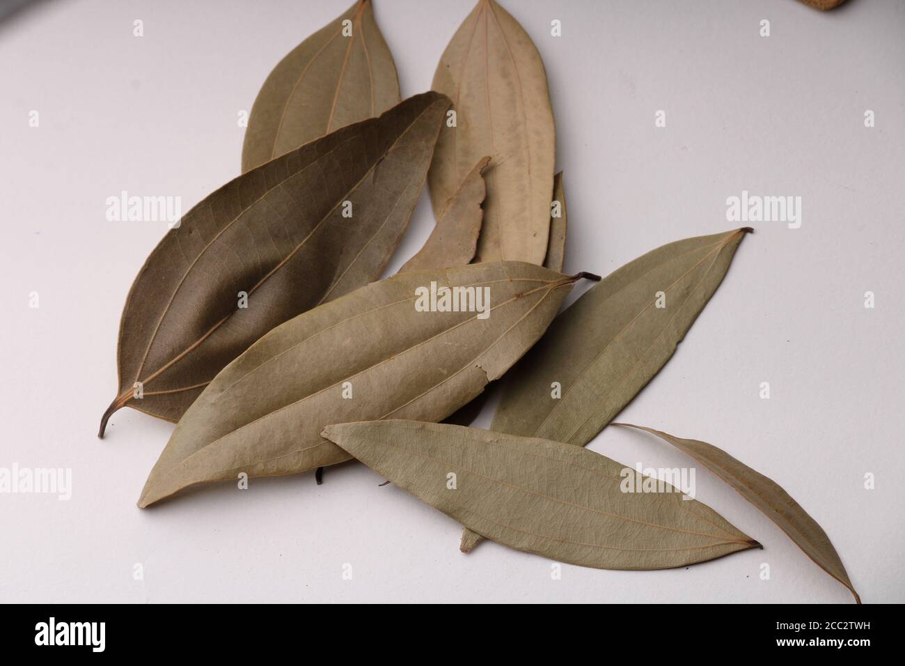 Feuilles aromatiques isolé sur fond blanc Banque D'Images