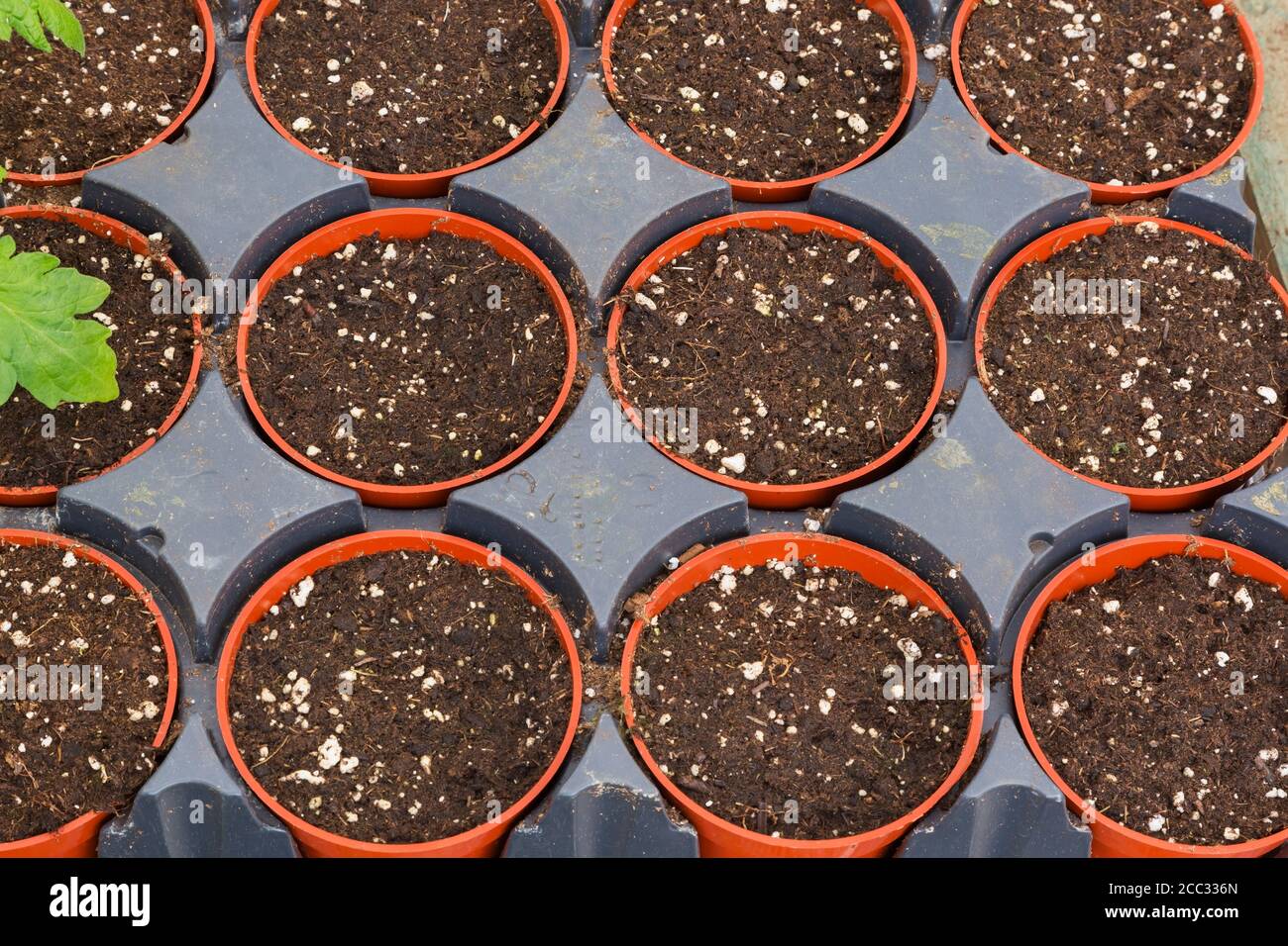 Rangées de récipients en plastique rouge remplis d'humus enrichi prêts à planter des semis. Banque D'Images
