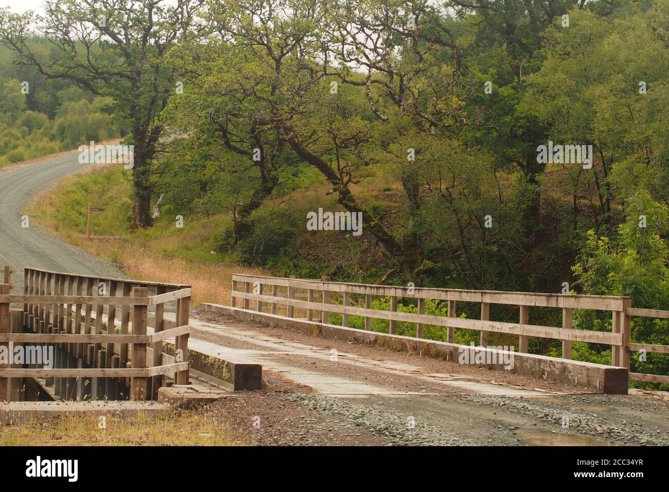 Vue sur un pont au-dessus d'une rivière conçue pour les véhicules de transport forestier dans la plantation et la récolte des forêts à feuilles persistantes à Argyll, en Écosse Banque D'Images