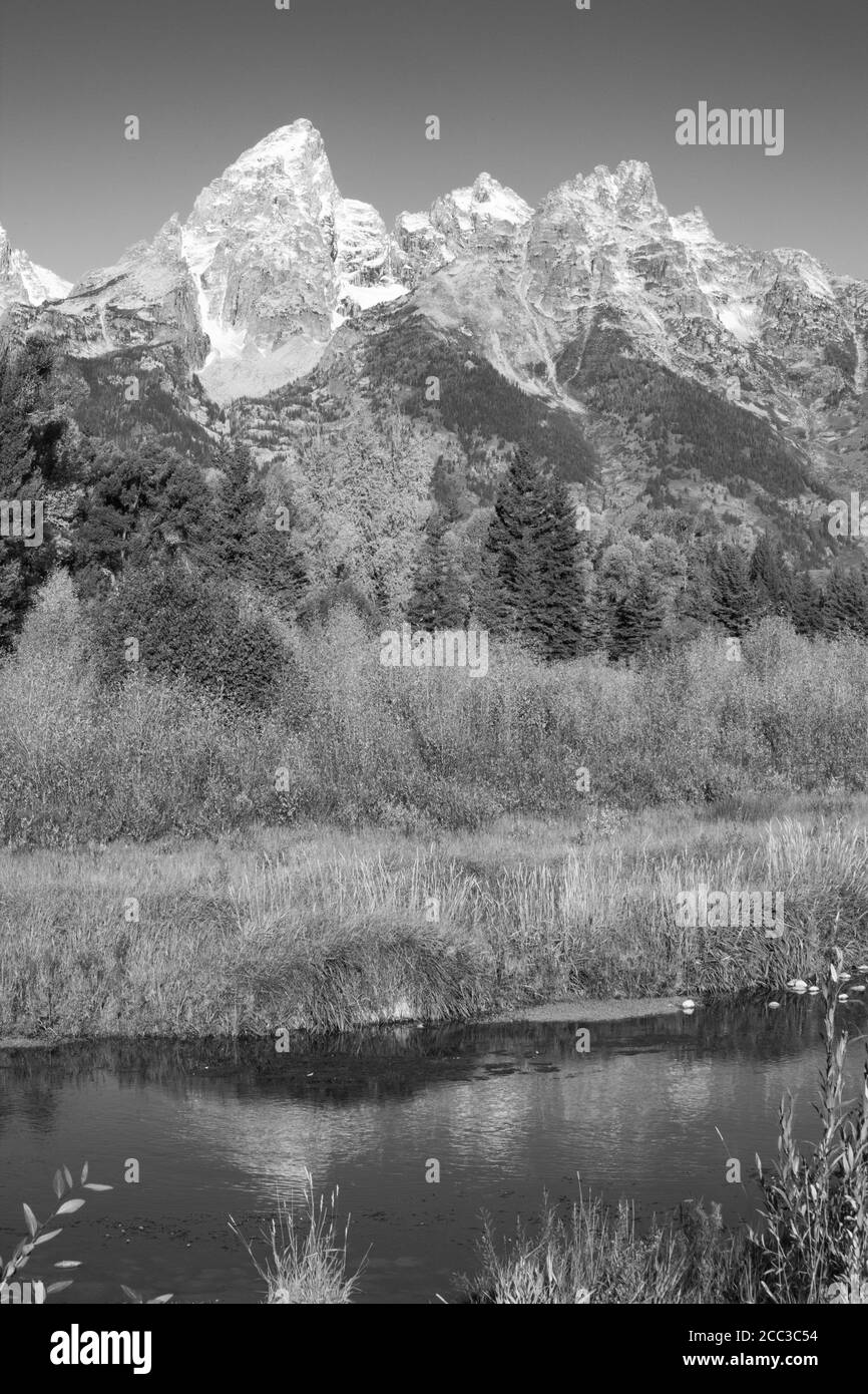 Les montagnes Teton se reflètent dans la rivière Snake Banque D'Images