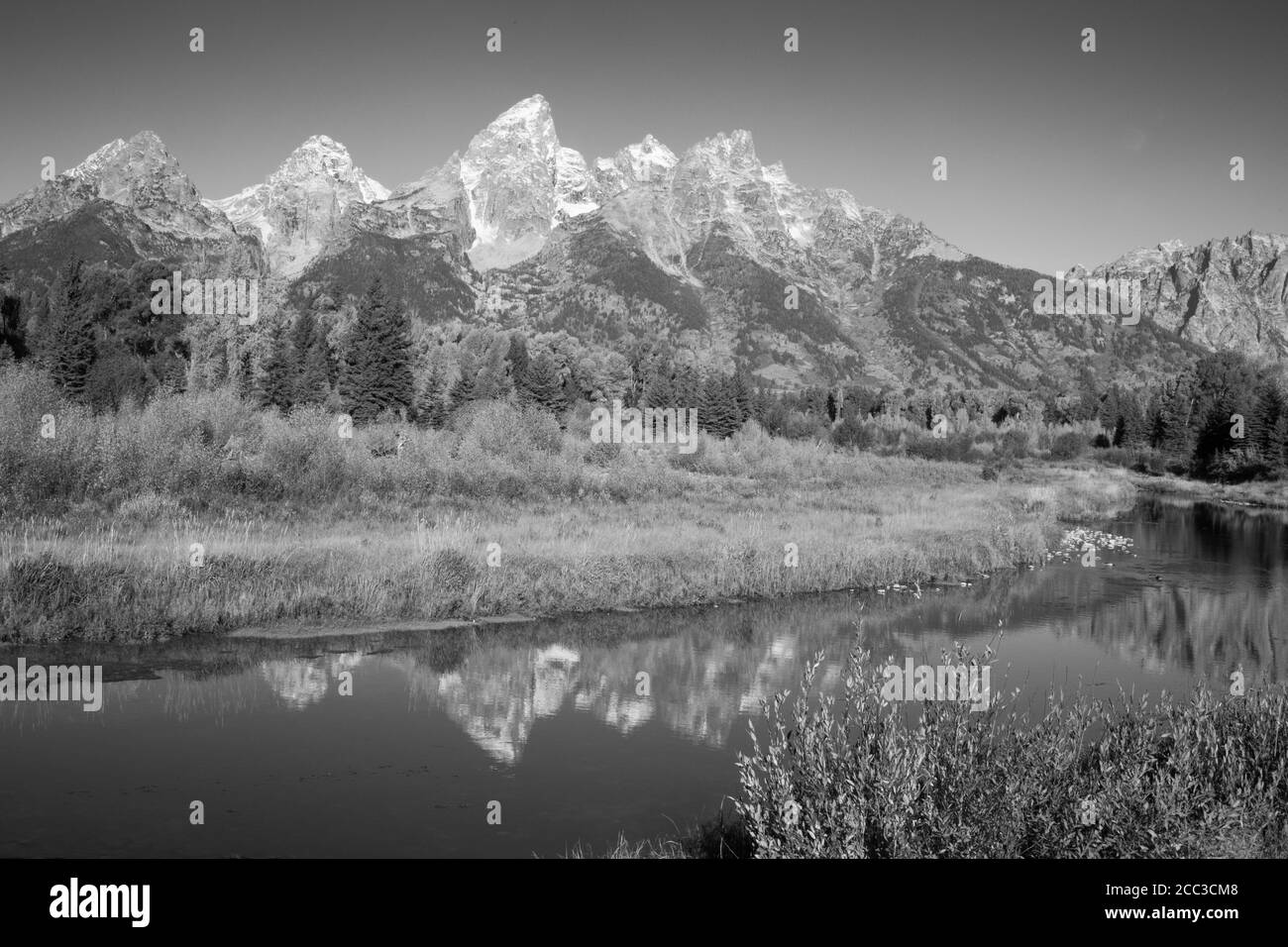 Les montagnes Teton se reflètent dans la rivière Snake Banque D'Images